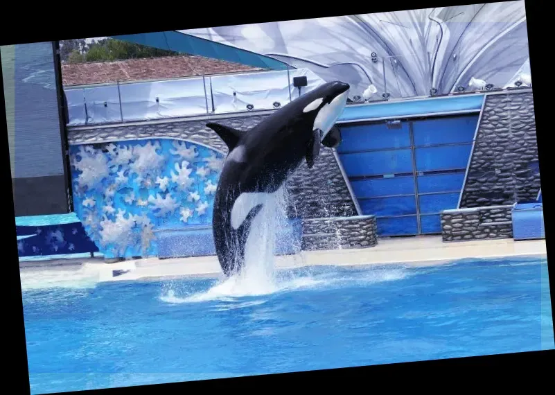 SeaWorld 샌디에고