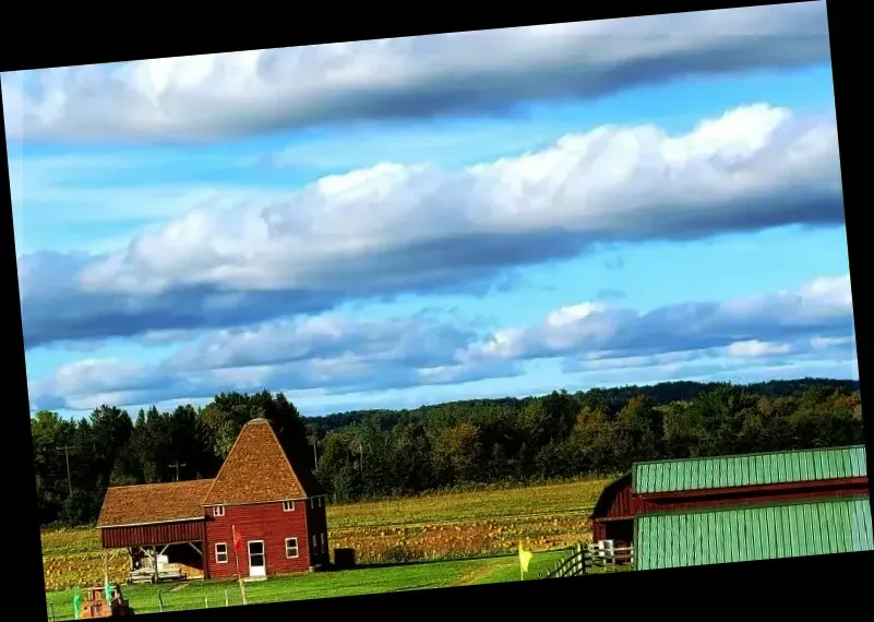 Critz Farms and Critz Farms Brewing Cider Co