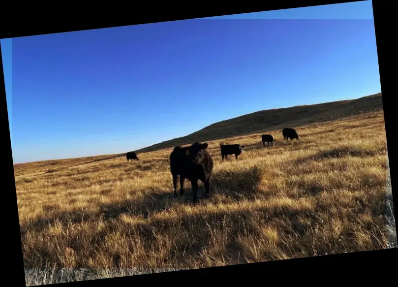 Pawnee National Grassland