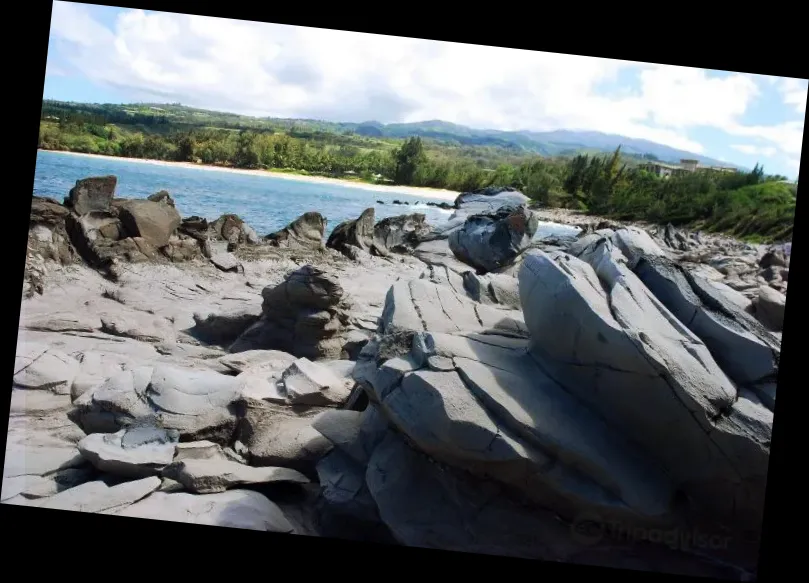 Dragons Teeth