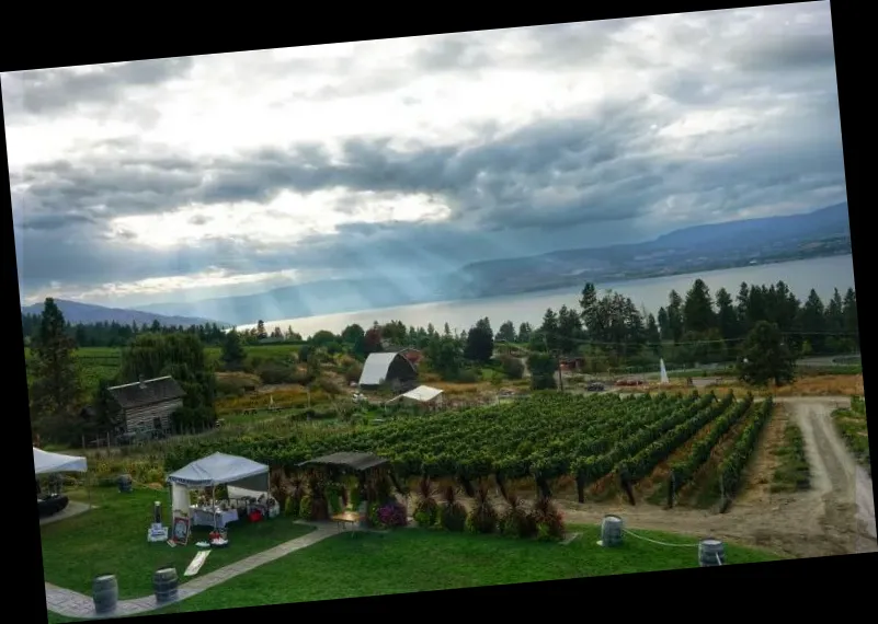 Summerhill Pyramid Winery