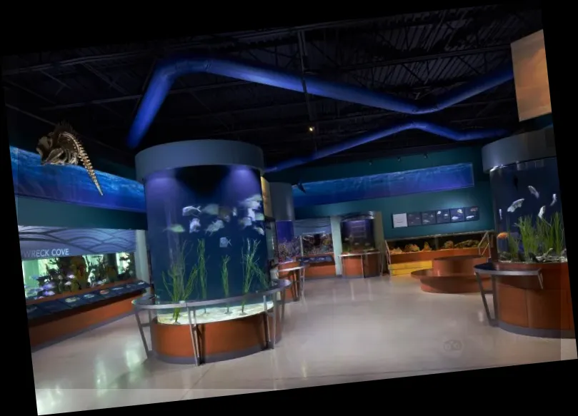 Cox Science Center and Aquarium