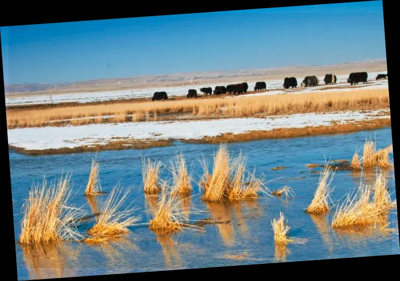 Qinghai Lake Fairy Bay