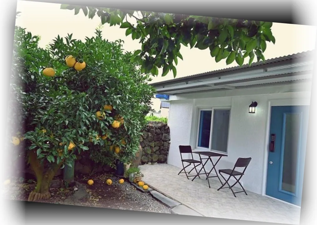 _________image_7.webp