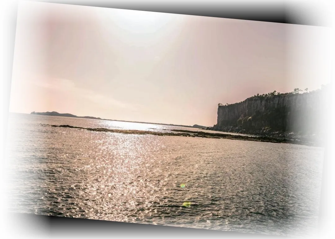 _______image_8.webp